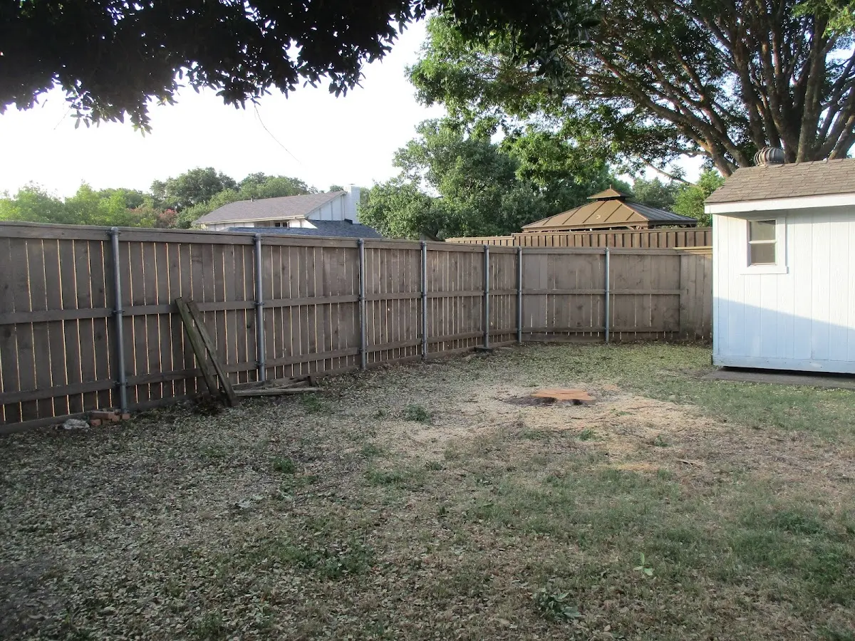 Cleared yard after professional tree removal in Allred